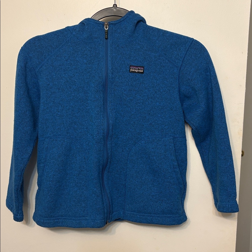 Kids Patagonia Fleece Jacket blue zip hood